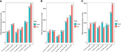 Transcriptome analysis provides insight into adaptive mechanisms of scallops under environmental stress